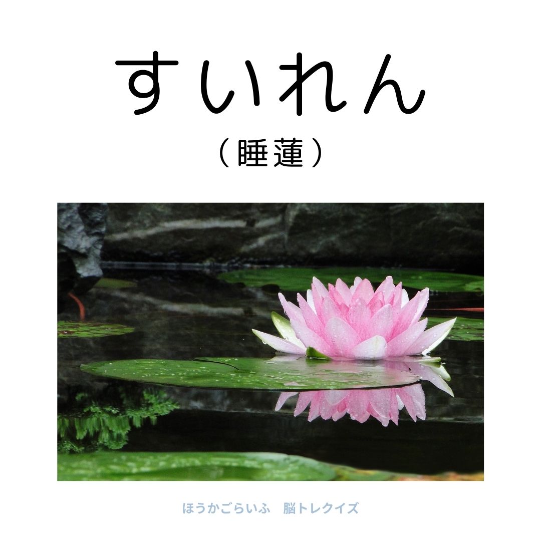 高齢者向け（無料）言葉の並び替えで脳トレしよう！文字（ひらがな）を並び替える簡単なゲーム【花の名前】健康寿命を延ばす鍵